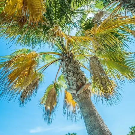 Casa Frederyk Διαμέρισμα Cumbre del Sol