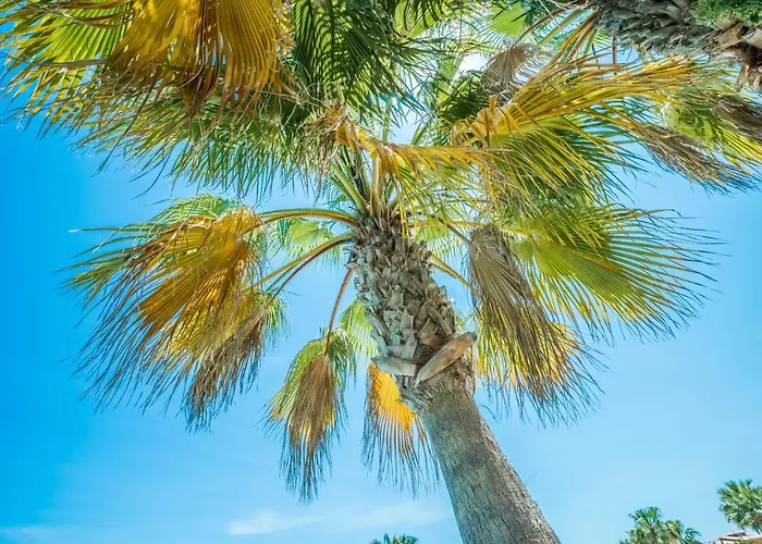 Casa Frederyk Appartement Cumbre del Sol